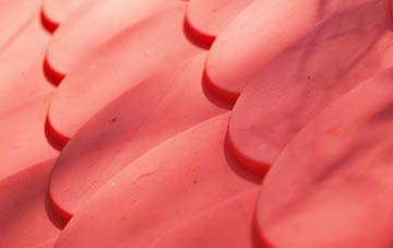 Cheddington plastic roof costs